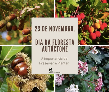 23 de Novembro - Dia da Floresta Autóctone - A importância de preservar e plantar