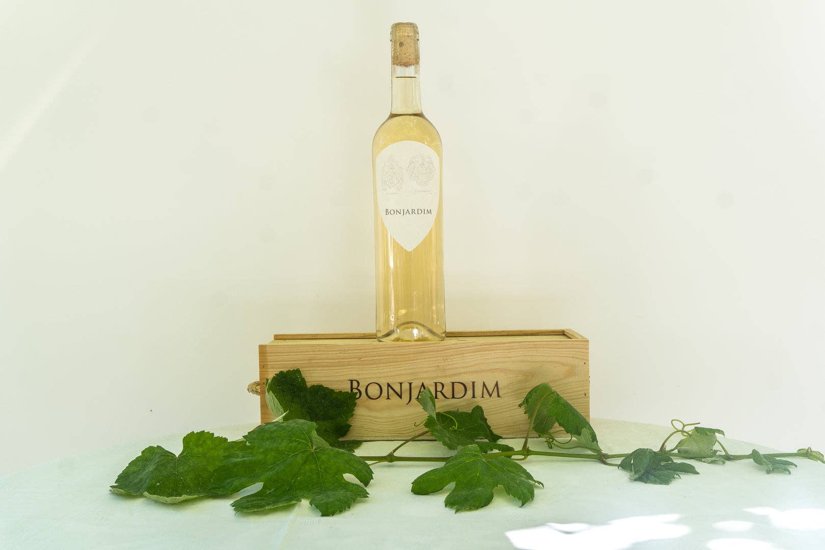 Bonjardim White 2023 | Organic 'Orange Wine'