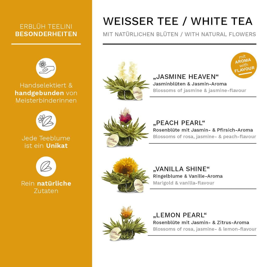 Caja magnética con 6 bolas de té blanco Teelini