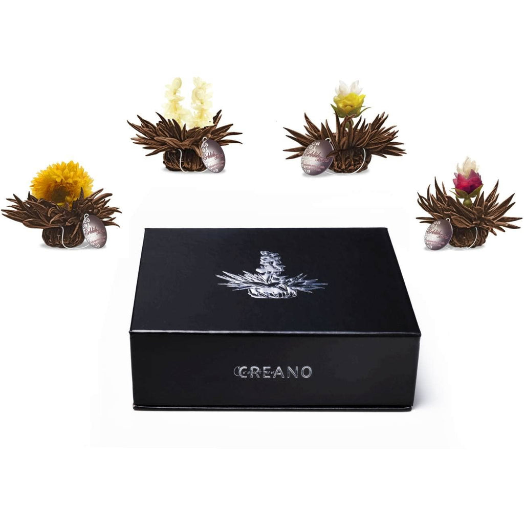 Caja magnética 6 té negro Teelini