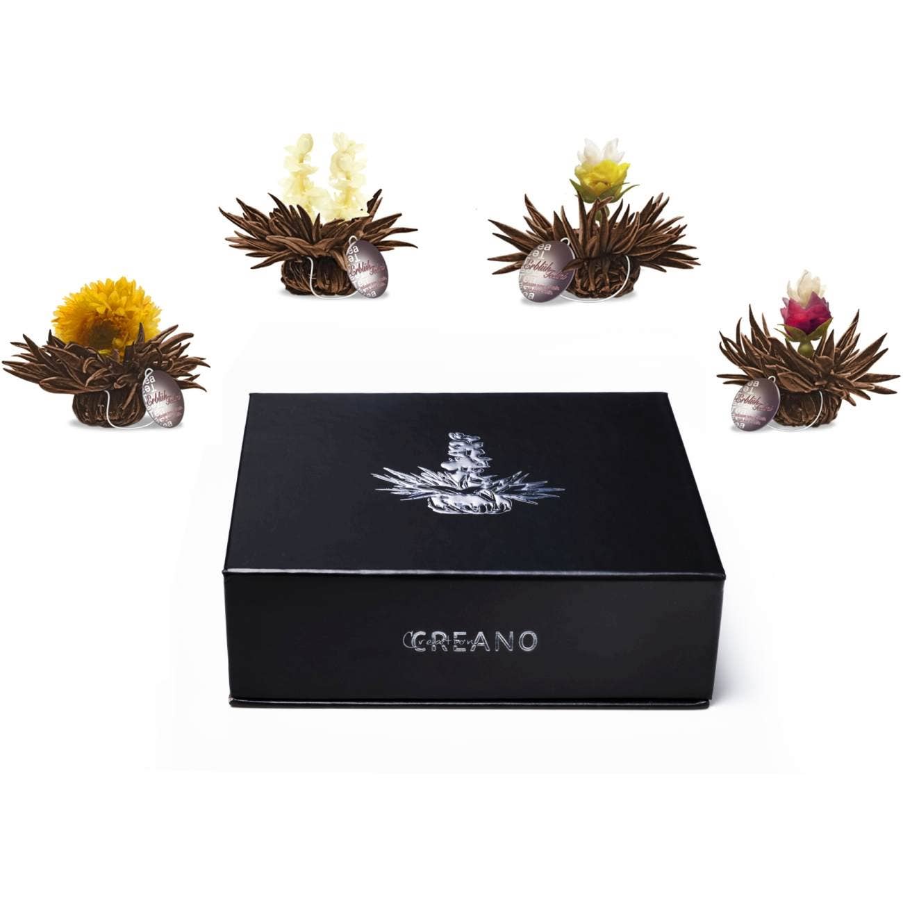 Caja magnética 6 té negro Teelini