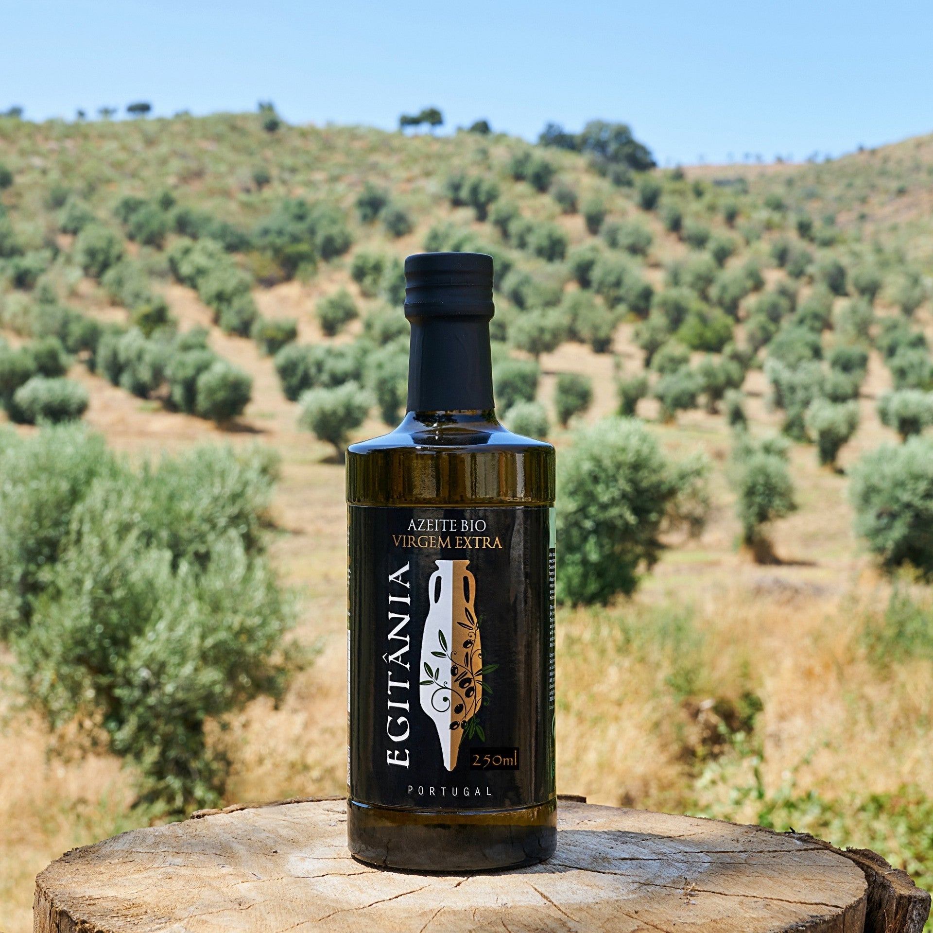 Azeite BIO Virgem Extra 250ml - Egitânia