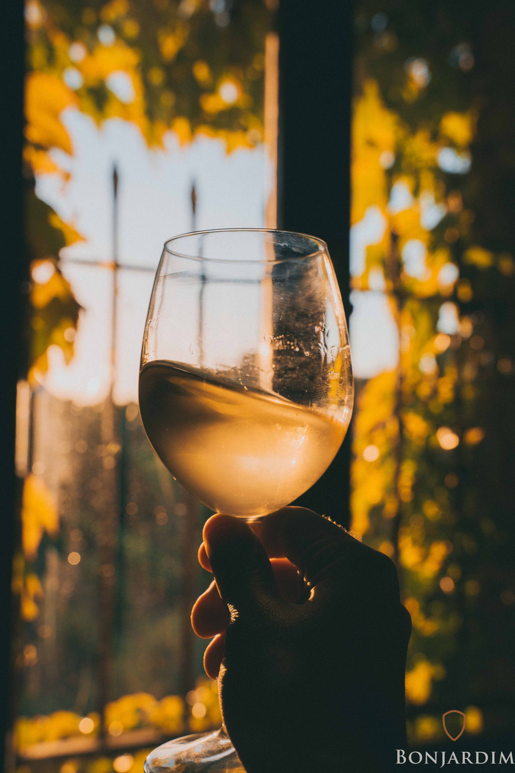Bonjardim White 2023 | Organic 'Orange Wine'