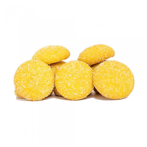 Areias BIOLÓGICAS