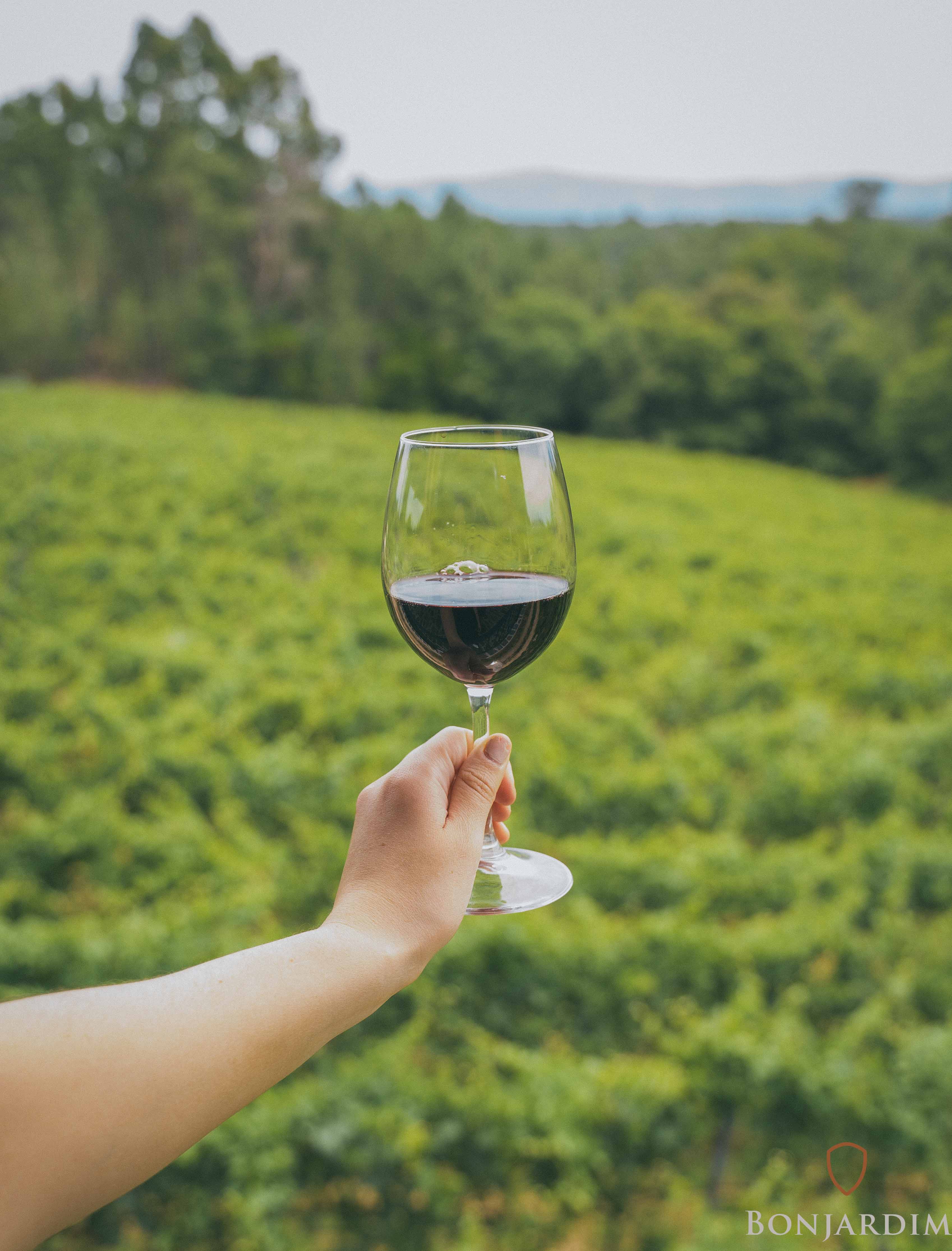 Bonjardim Red 2016 | Award-winning organic Portuguese wine