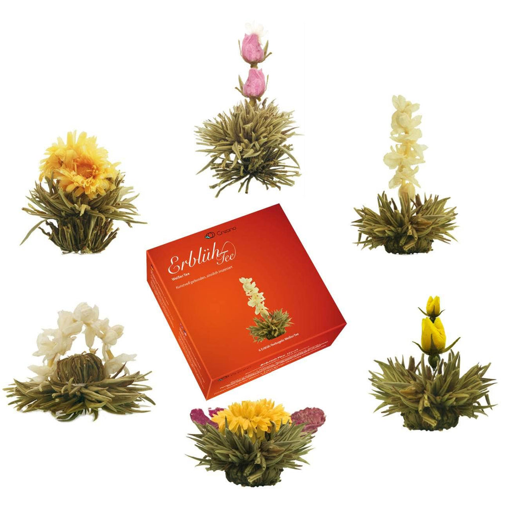 Mix de flores de chá Creano em caixa de presente elegante com 6 tipos diferentes de chá branco