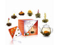 Creano chá de flores mix - conjunto presente chá flores que desabrocham com bule de vidro 500 ml chá branco e preto com 6 bolas de chá, 3x chá branco e 3x preto, presente para mulheres, mães, amantes de chá