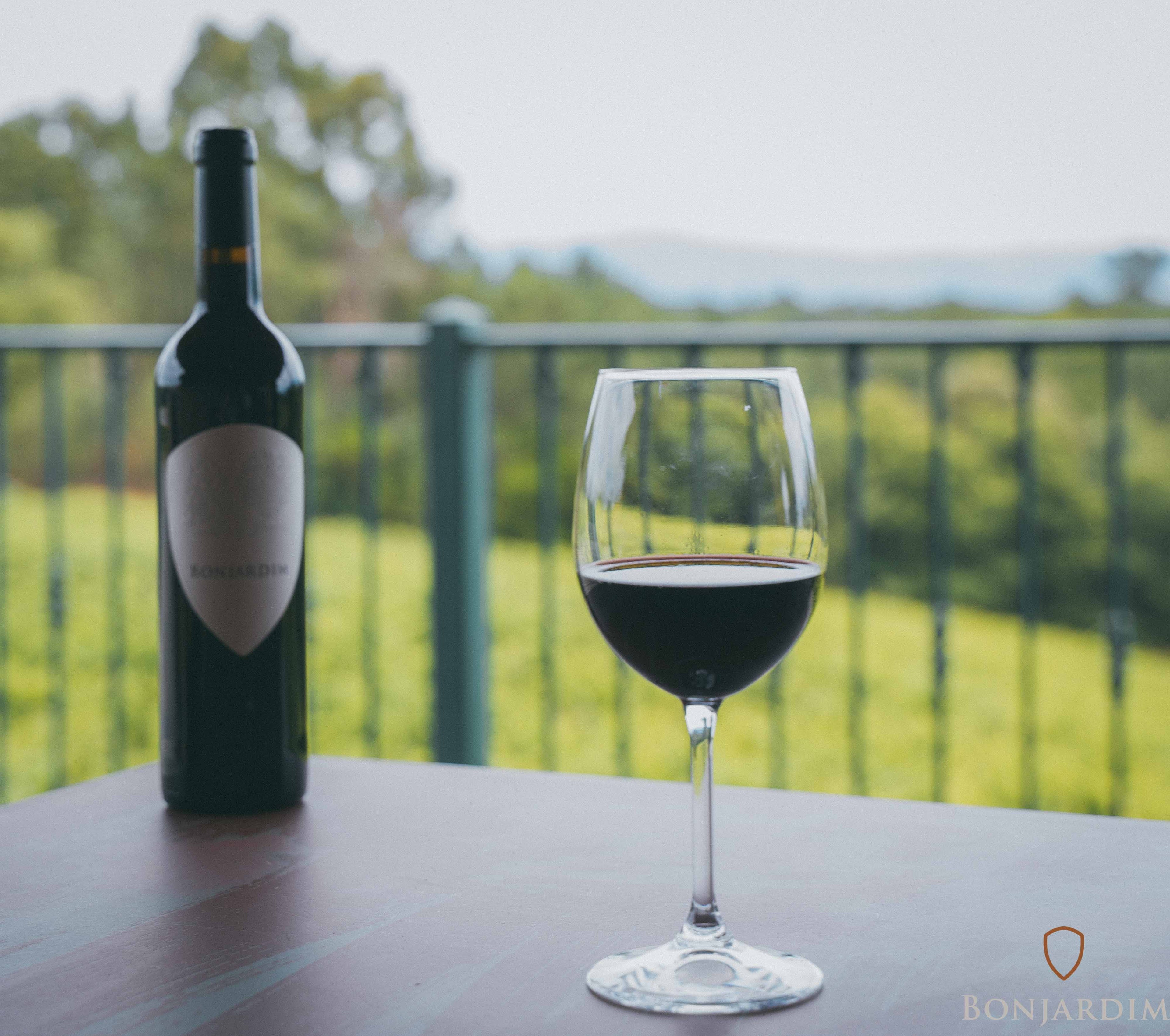 Bonjardim Red 2016 | Award-winning organic Portuguese wine