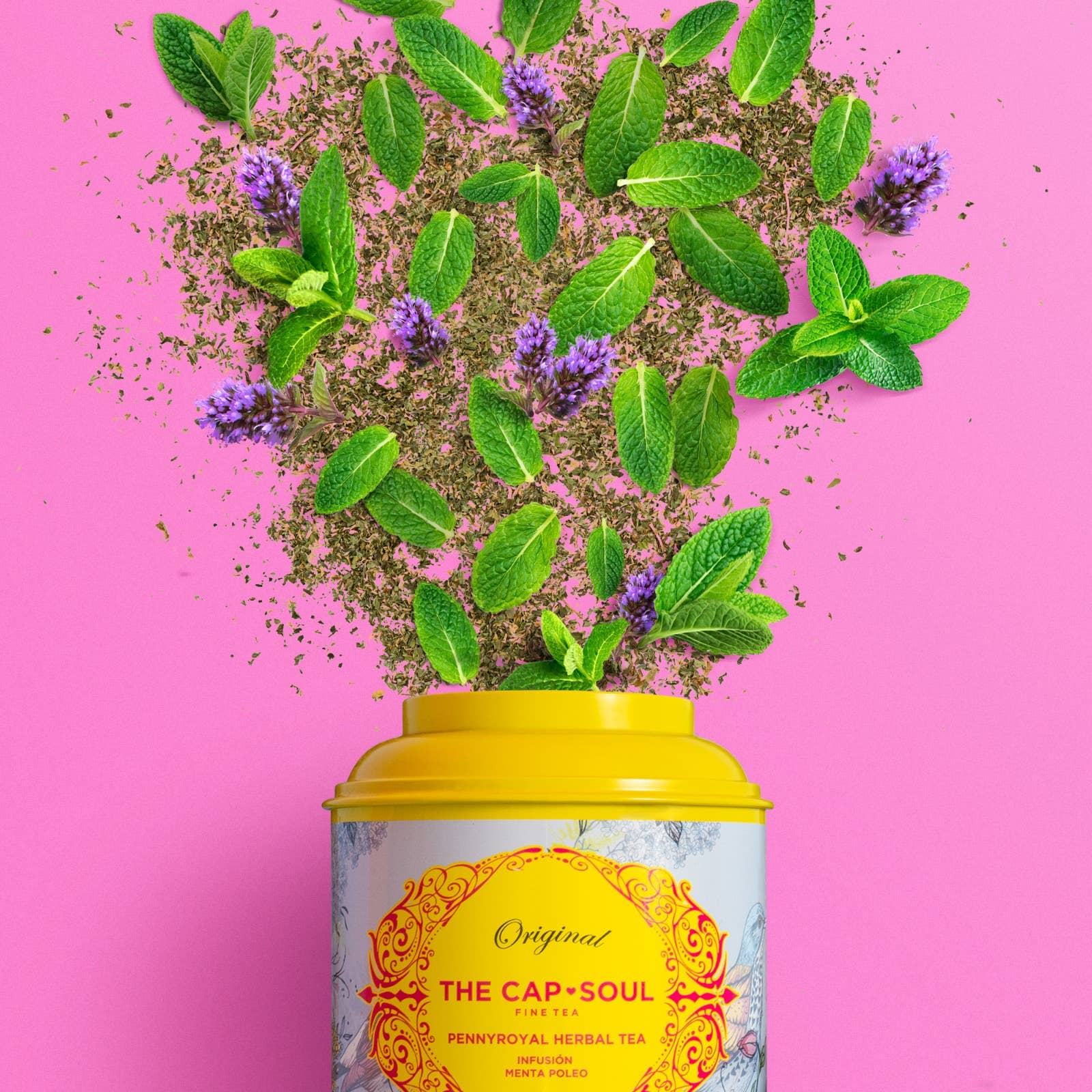 Infusão Hortelã-Poejo - Infusão a granel lata 45g