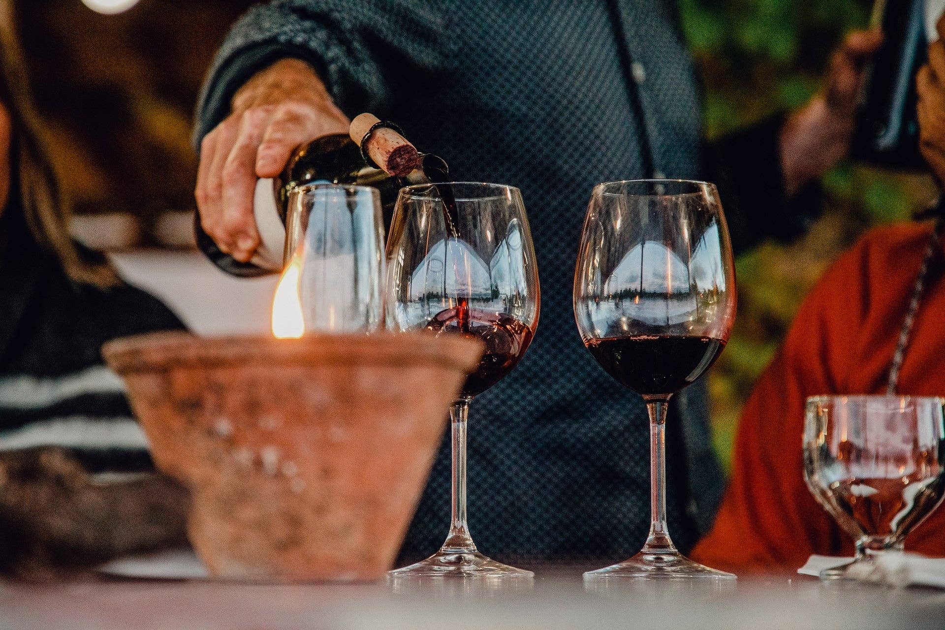 Bonjardim Red 2016 | Award-winning organic Portuguese wine