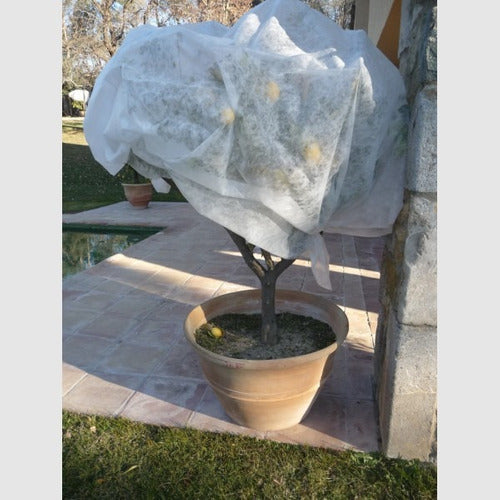 Manta térmica para plantas