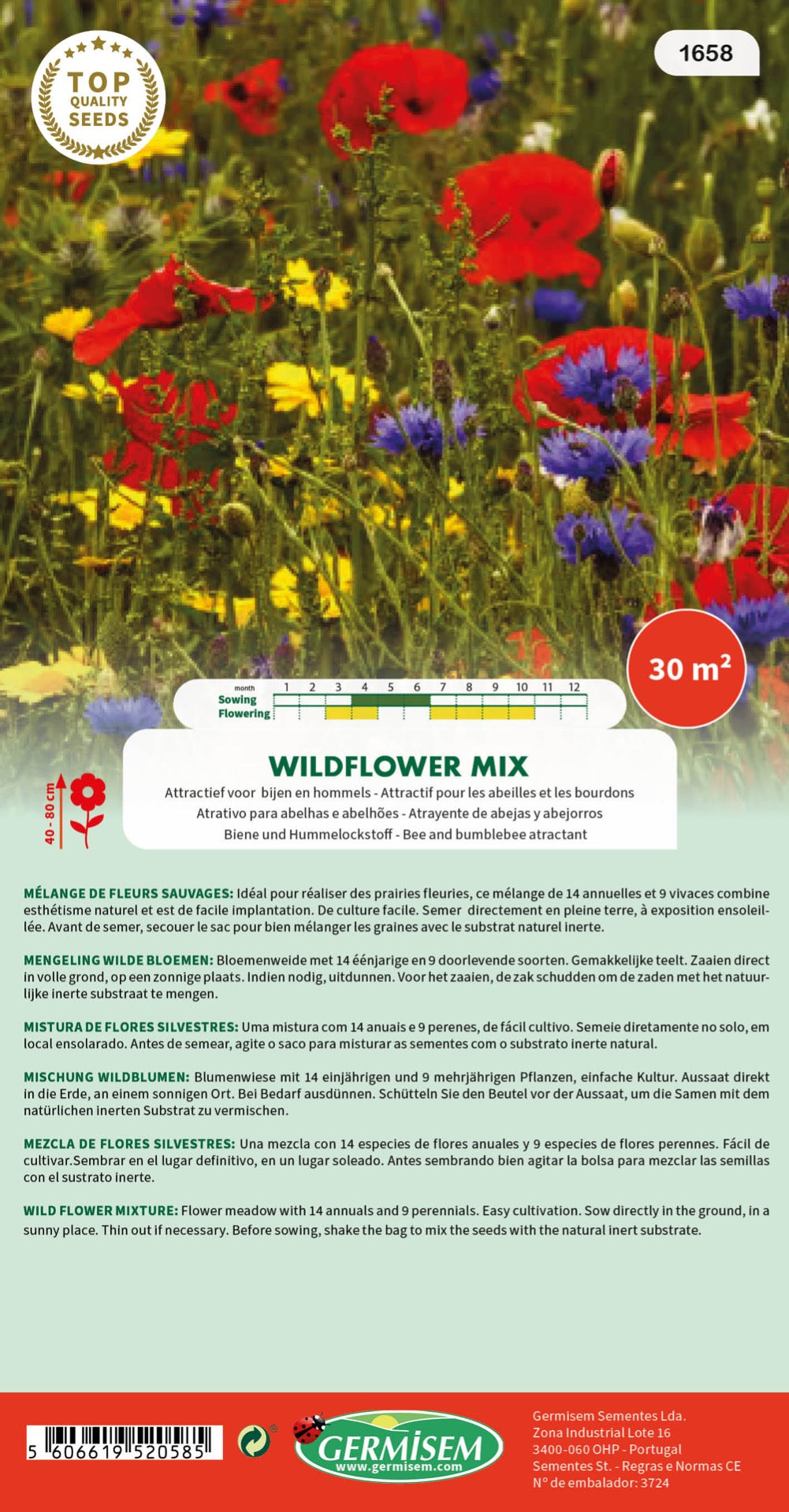 Flores silvestres mixtas/pradera florida