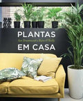 Plantas em Casa
