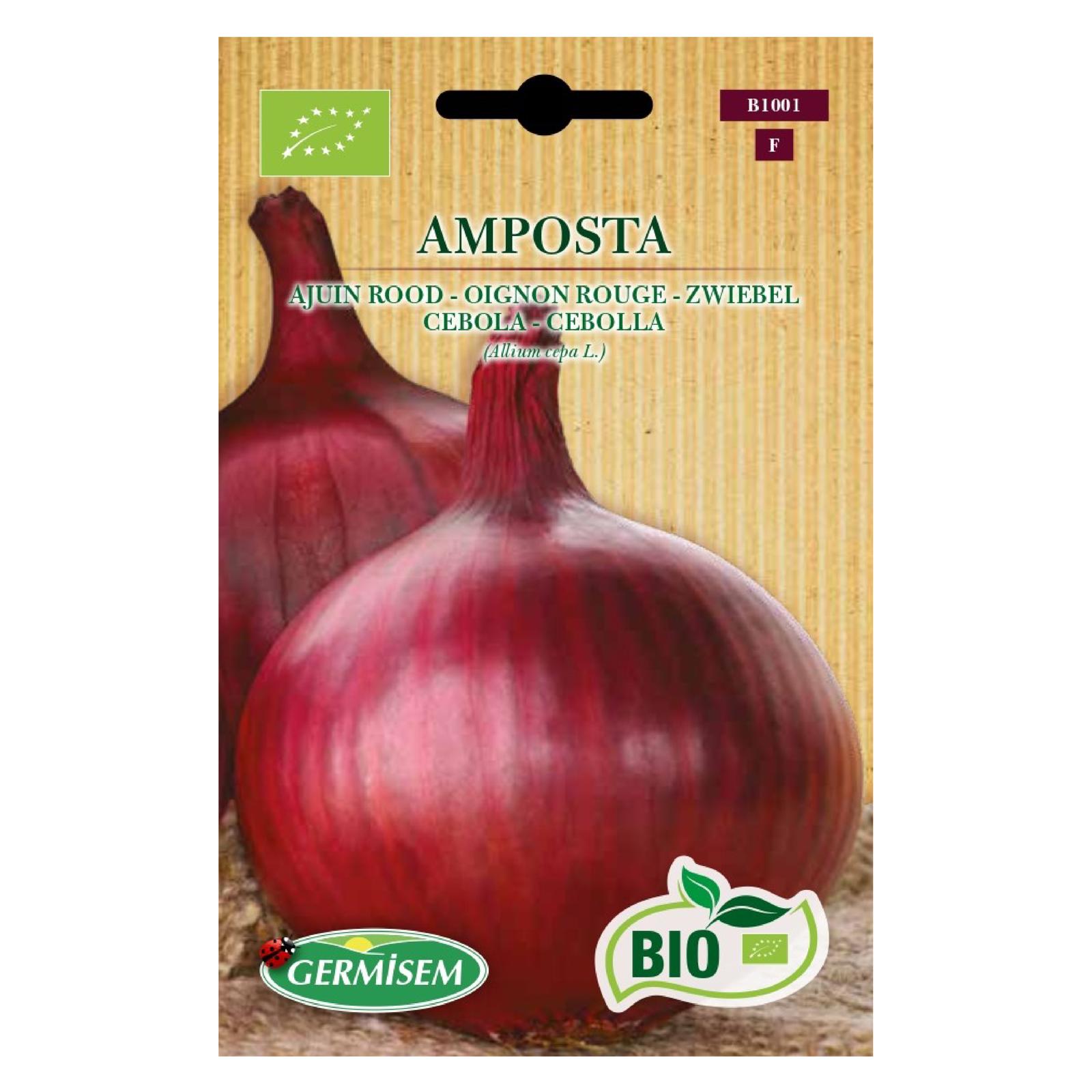 Cebola Amposta Vermelha