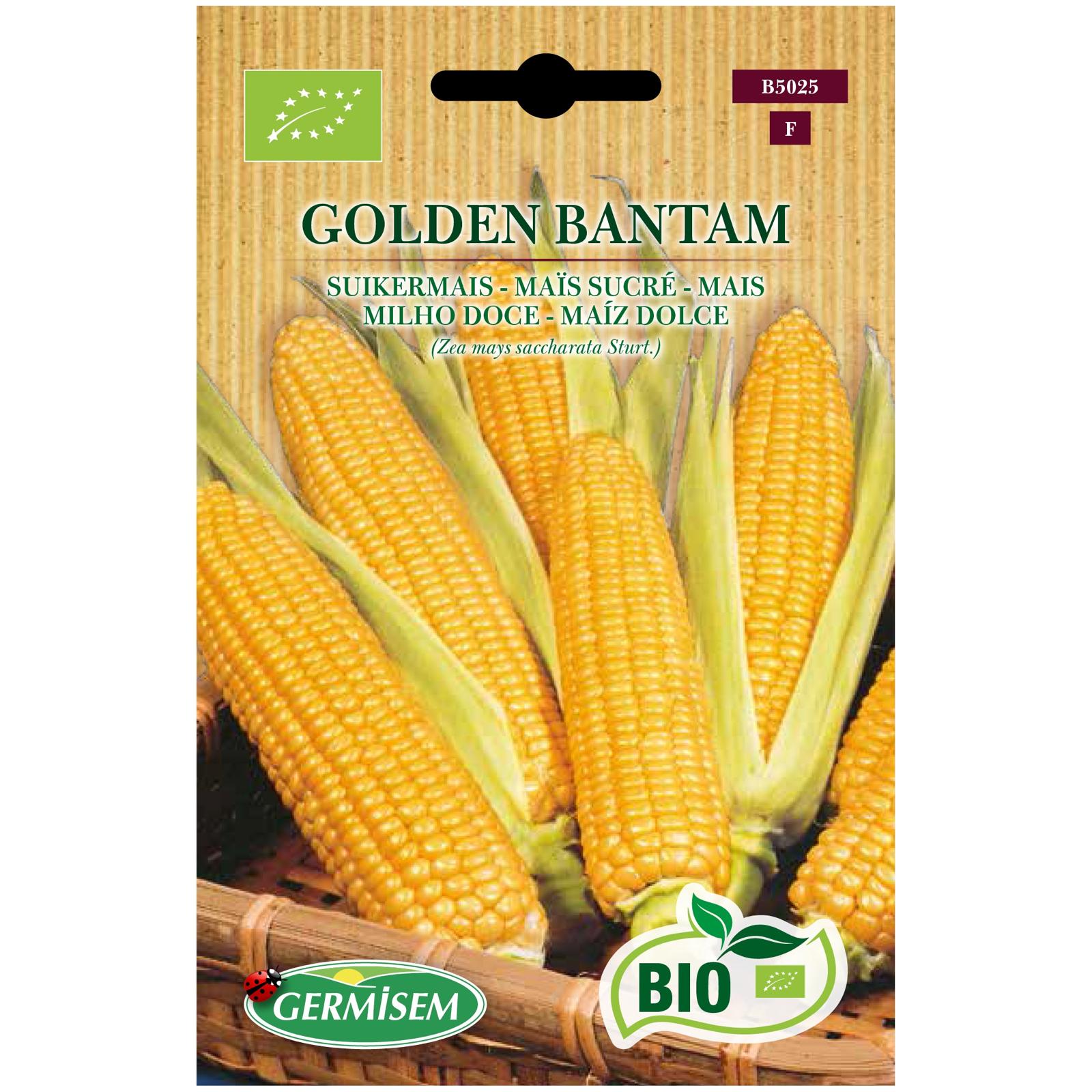 Milho doce Golden Bantam