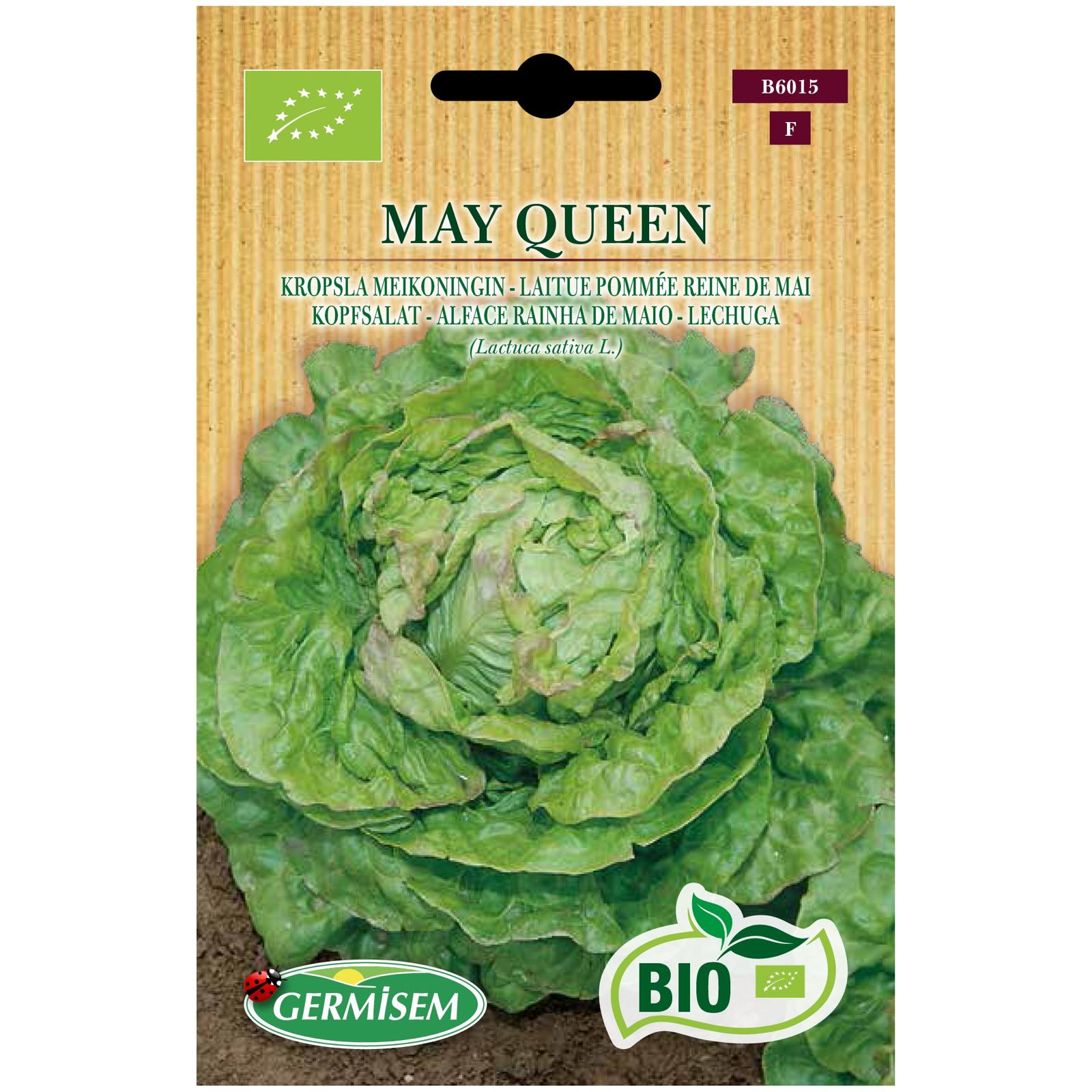 Alface de Carvalho verde