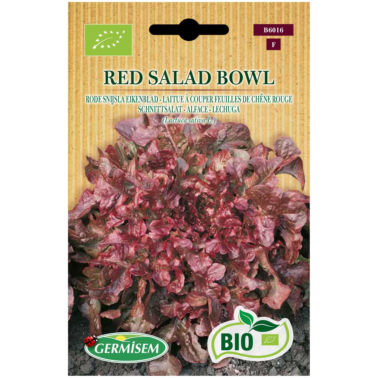 Alface Folha de Carvalho roxa