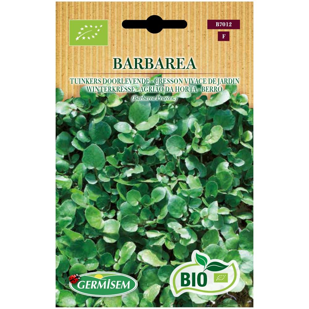 Agrião de Jardim Vivaz