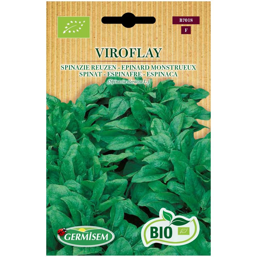 Espinafre Viroflay