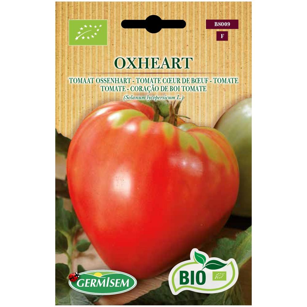 Tomate Coração de Boi