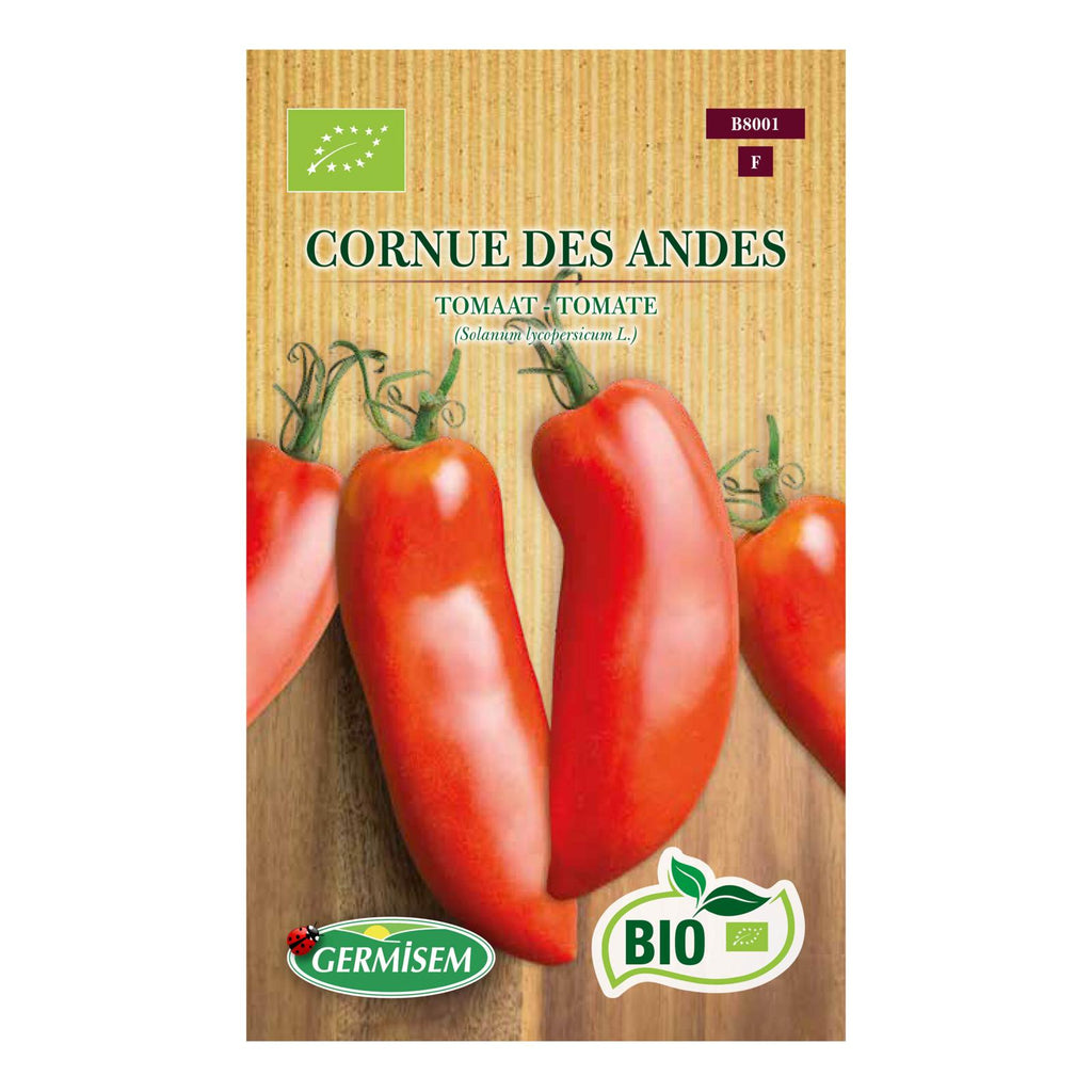Tomate Cornue de Andes