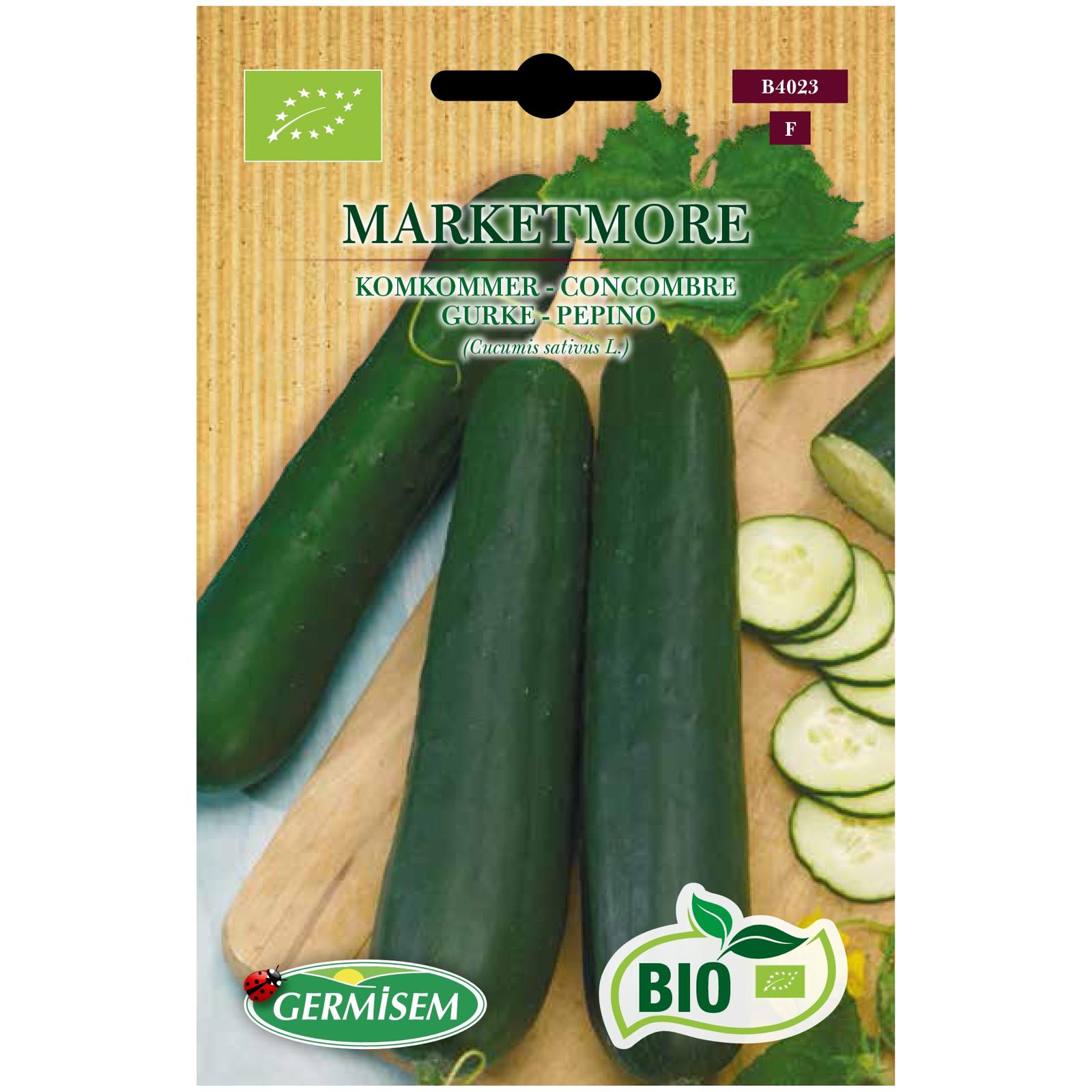 Pepino Marketmore