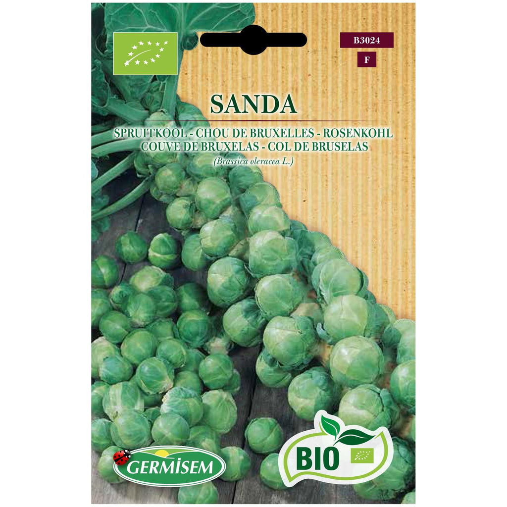 Couve de Bruxelas Sanda