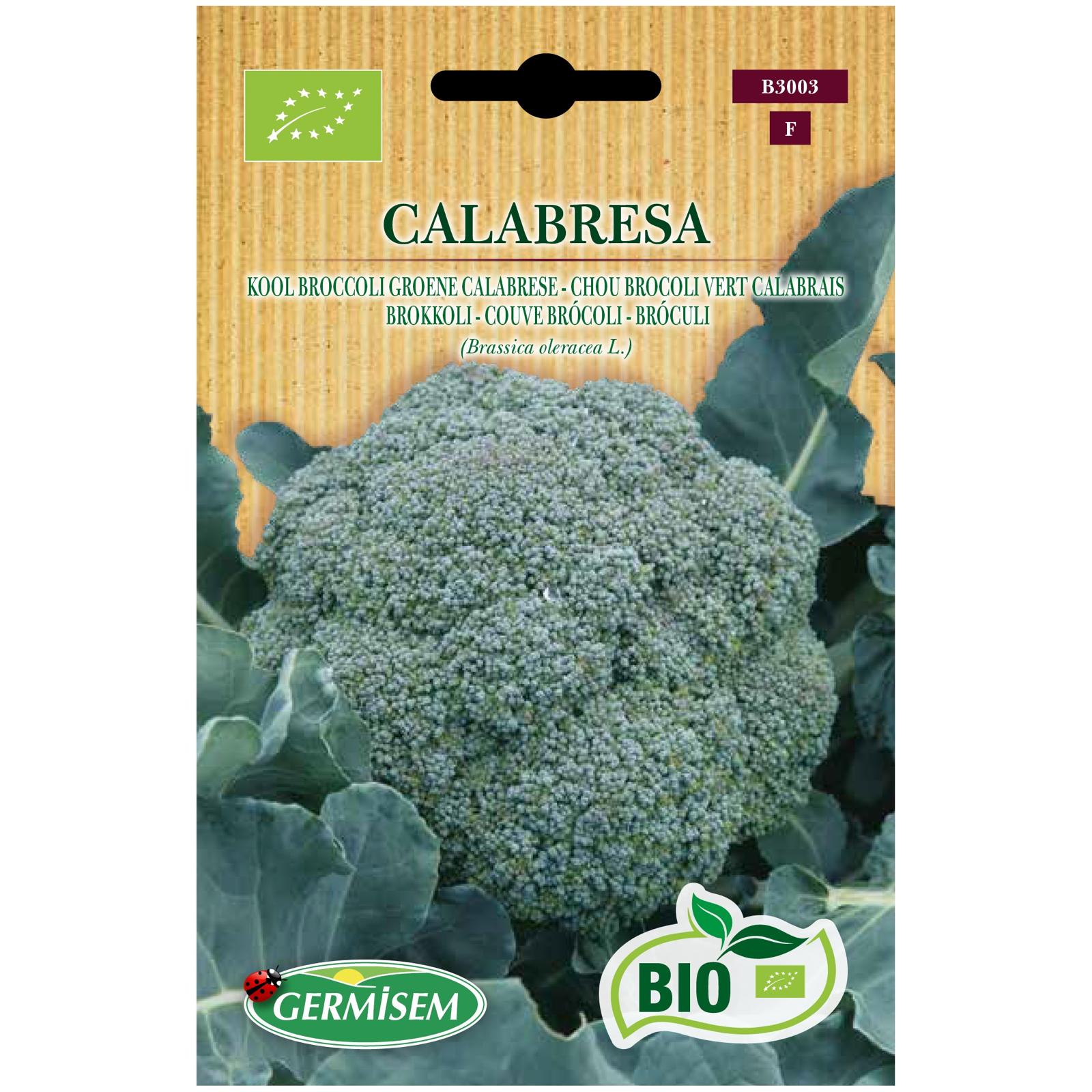 Couve Brócolo Calabrese