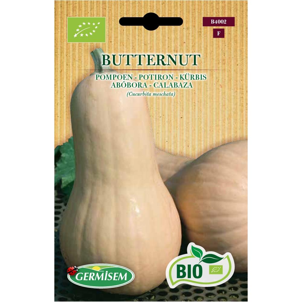 Abóbora Butternut
