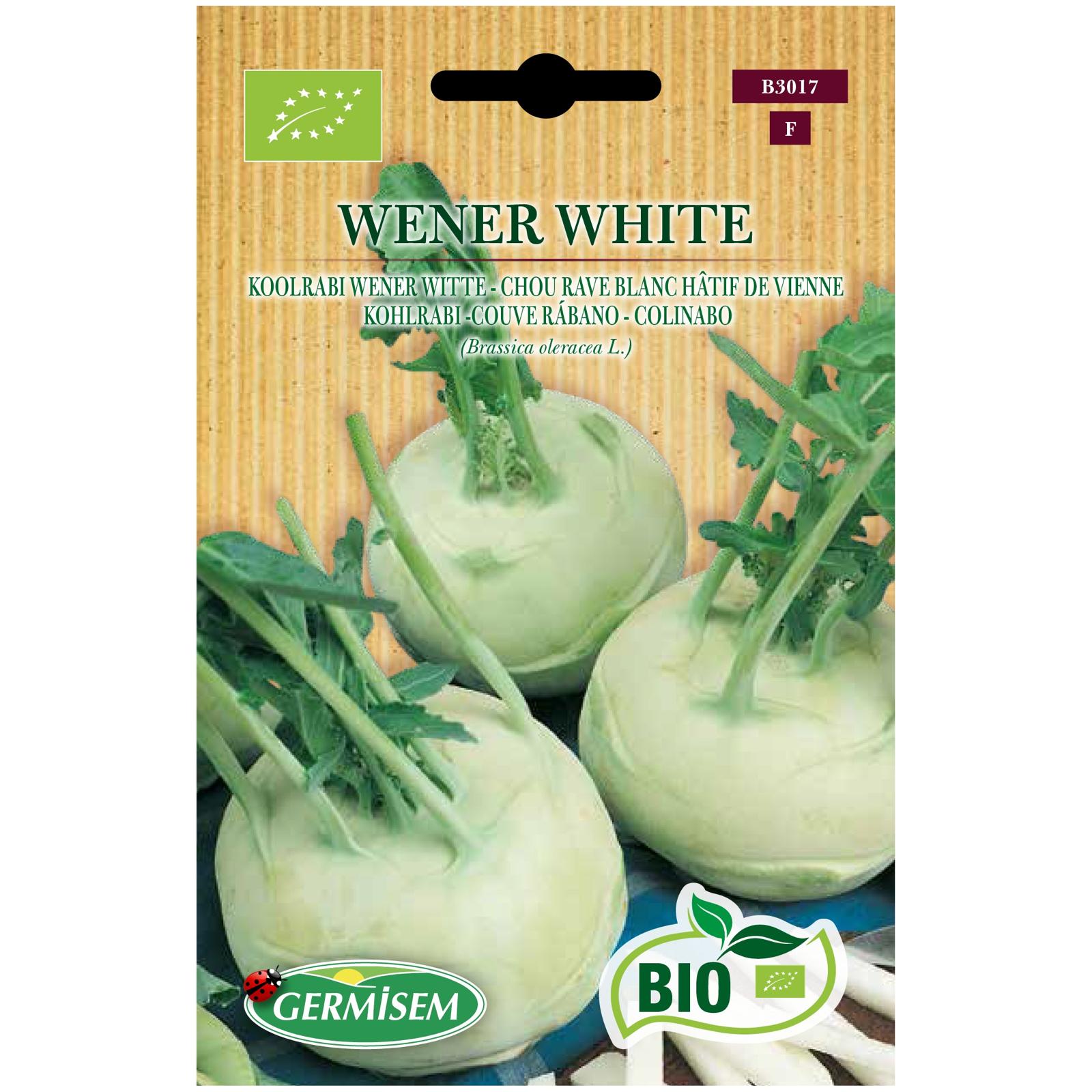 Couve Rábano Branco