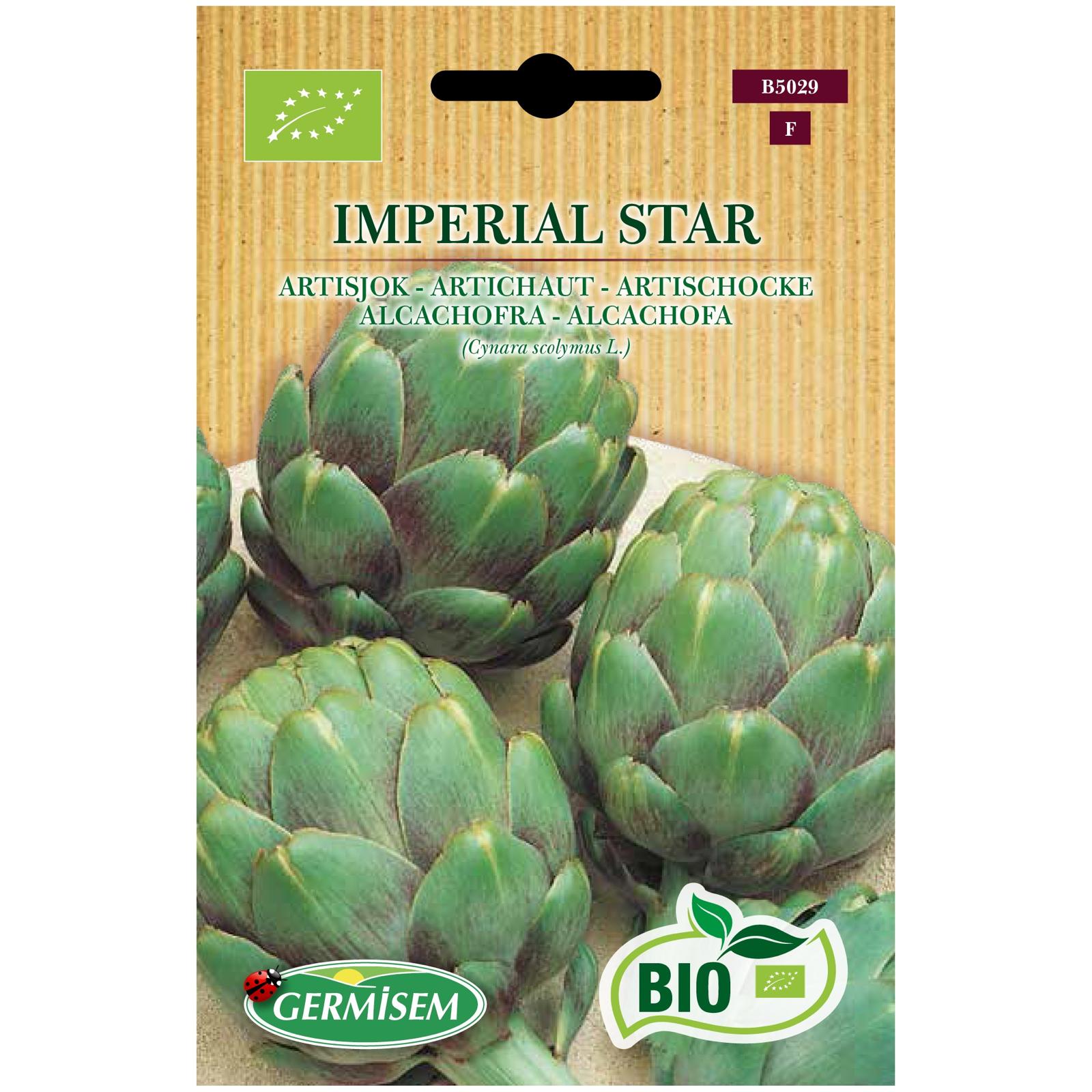 Alcachofra Imperial Red