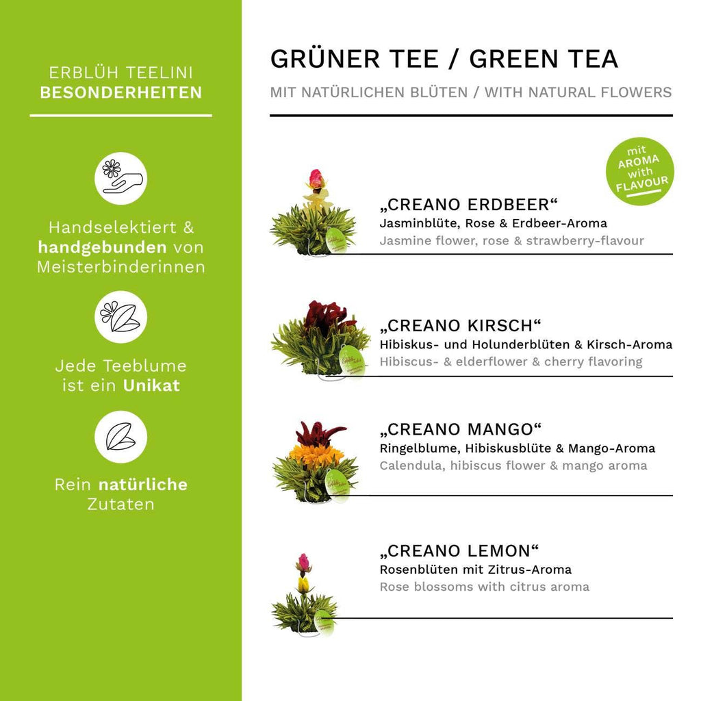 Creano Flor Teelini Taza de té y 8 flores de té verde