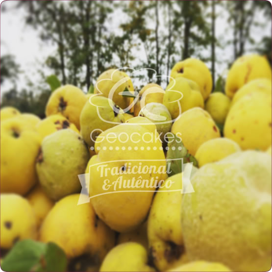 Geleia de Marmelo Biológica