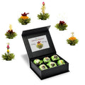 Caja magnética con 6 tés florales de té verde