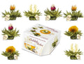 Caja con 8 flores de té blanco BluemeElini