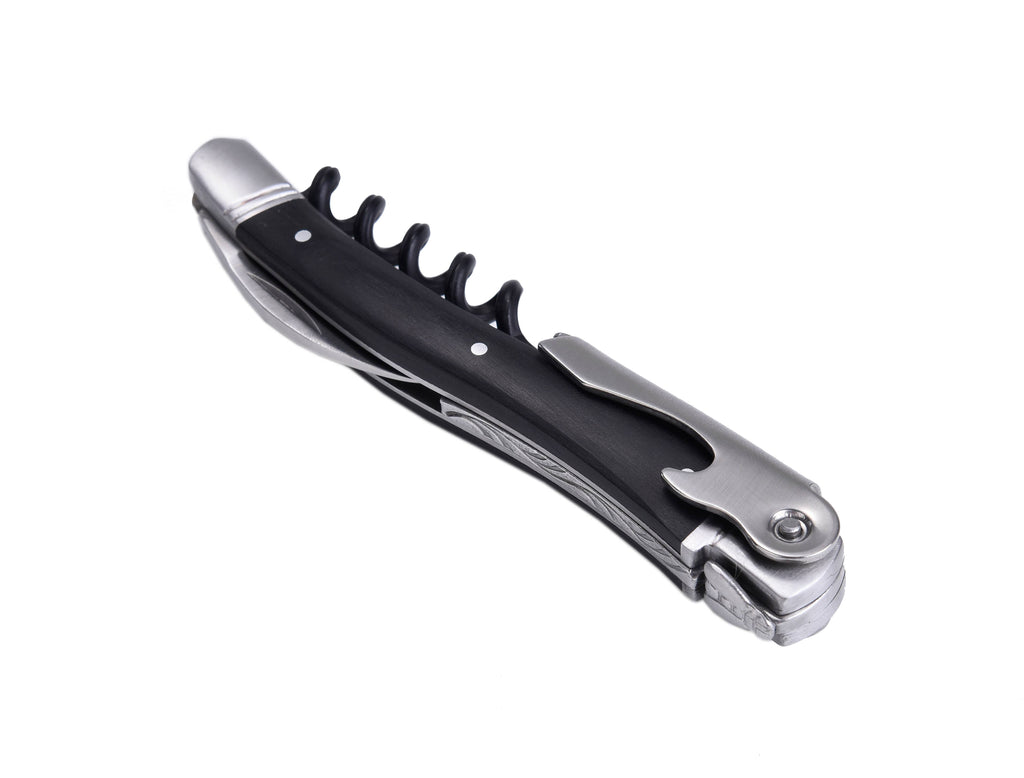 Laguiole Aerador de vinho e seus acessórios
