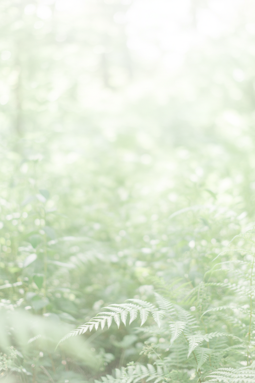 Fetos e plantas - claro e pacífico