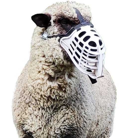 Boçal de Pastoreio - Solução Ecológica